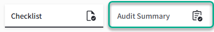 audit summary.png
