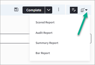 audit report.png