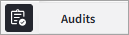 audit menu2.png