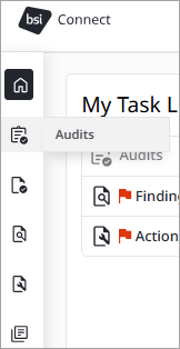 new audit menu.png